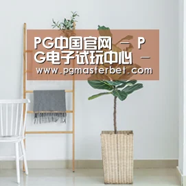 产品名称六(图1)
