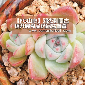 【PG中心】邓杰到同古镇开展食品药品监督