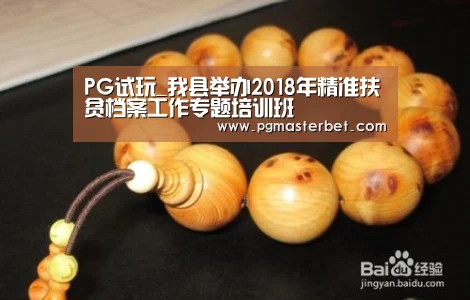 PG试玩_我县举办2018年精准扶贫档案工作专题培训班(图3) PG中国